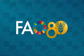fao80.jpg